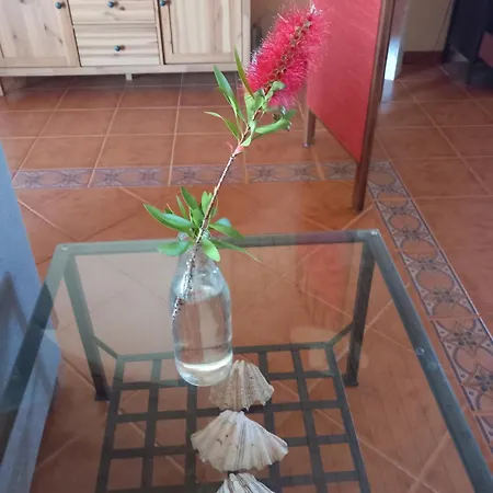 Holiday home Summer House Clavelina De Mar